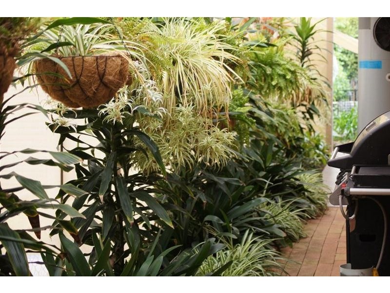 7, Chinchilla QLD 4413