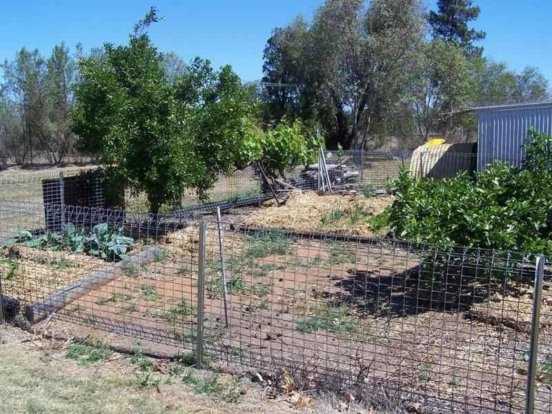 419 CHINCHILLA TARA Road, Chinchilla QLD 4413