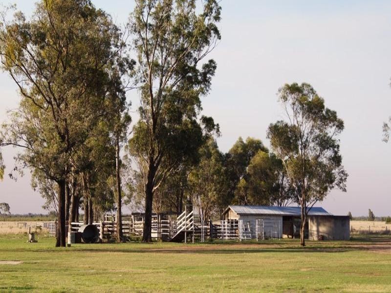 770 Auburn Road, Chinchilla QLD 4413