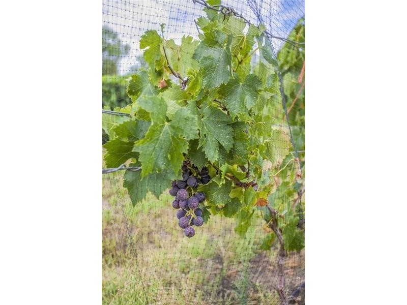 334 Chinchilla-Wondai Road, Chinchilla QLD 4413