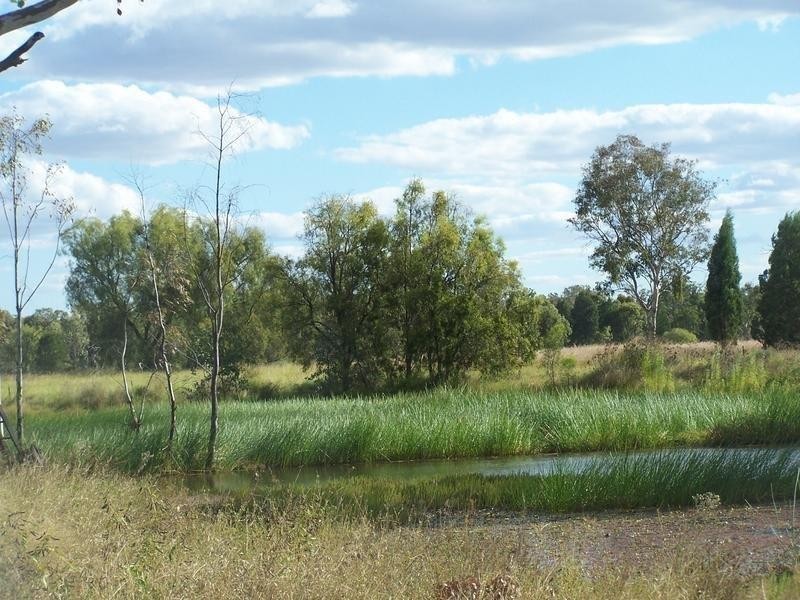 363 Auburn Road, Chinchilla QLD 4413