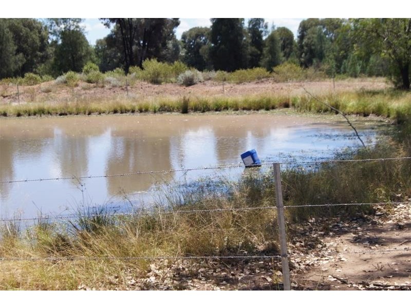 173 Surcingle Road, Chinchilla QLD 4413