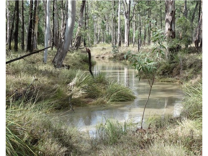 1630 Auburn Road, Chinchilla QLD 4413