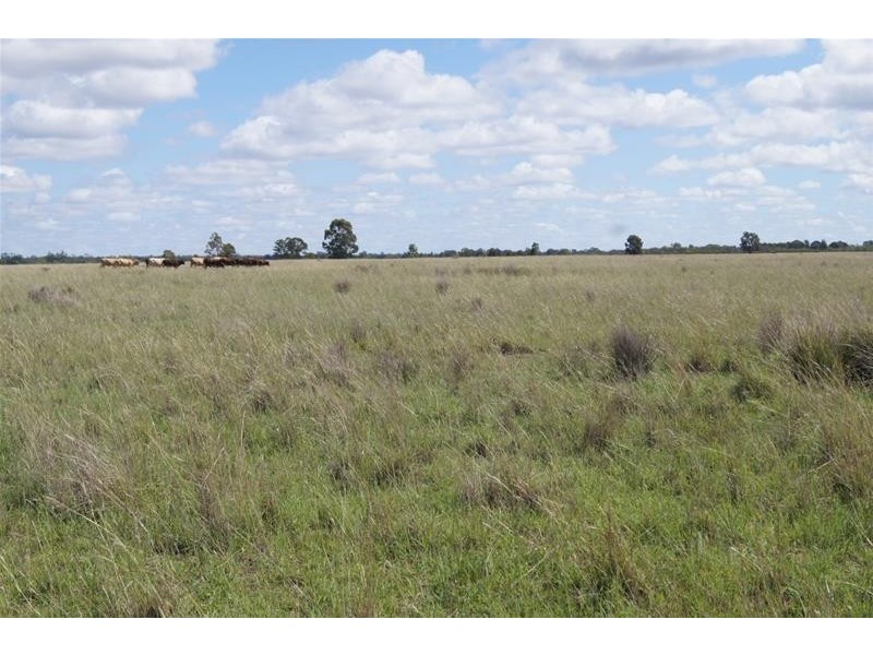 770 Auburn Road, Chinchilla QLD 4413