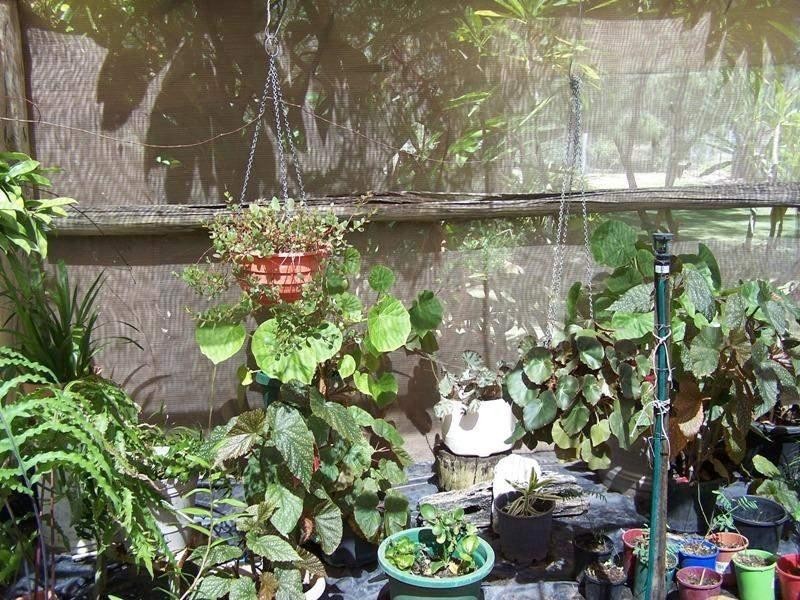 63 KURTZ Street, Chinchilla QLD 4413