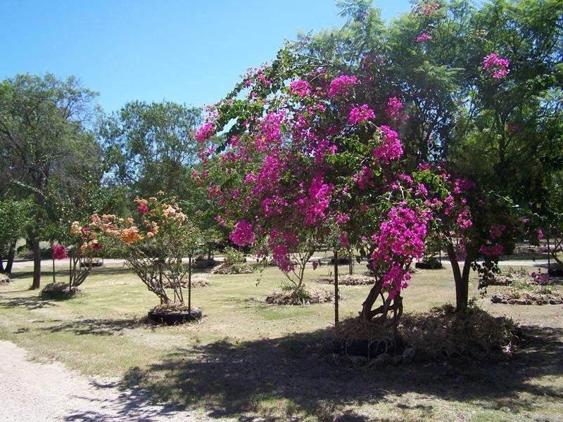 63 KURTZ Street, Chinchilla QLD 4413