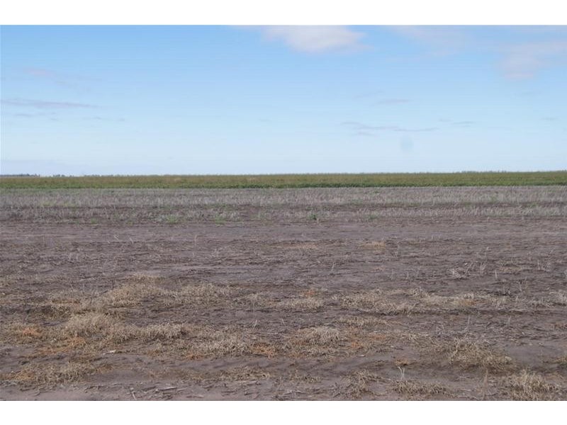 1474 CHINCHILLA/WONDAI Road, Chinchilla QLD 4413