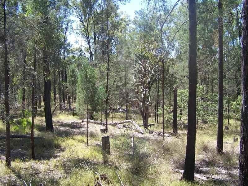 Lot/1 GRAYS Road, Chinchilla QLD 4413