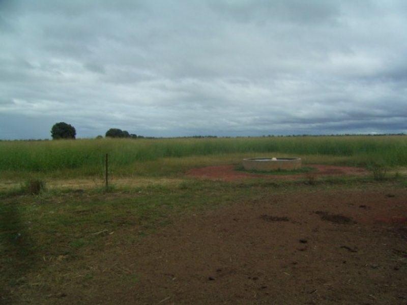 407 Widdons Road, Canaga QLD 4413