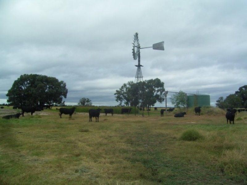 407 Widdons Road, Canaga QLD 4413