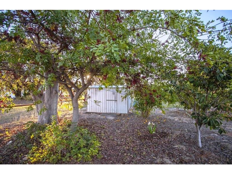 14  Mann Street, Chinchilla QLD 4413