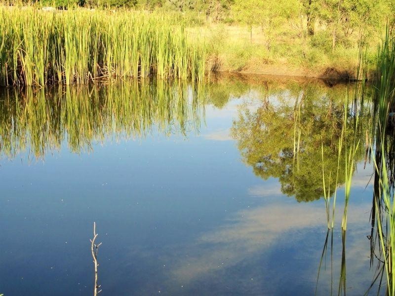 40 Rider Street, Chinchilla QLD 4413