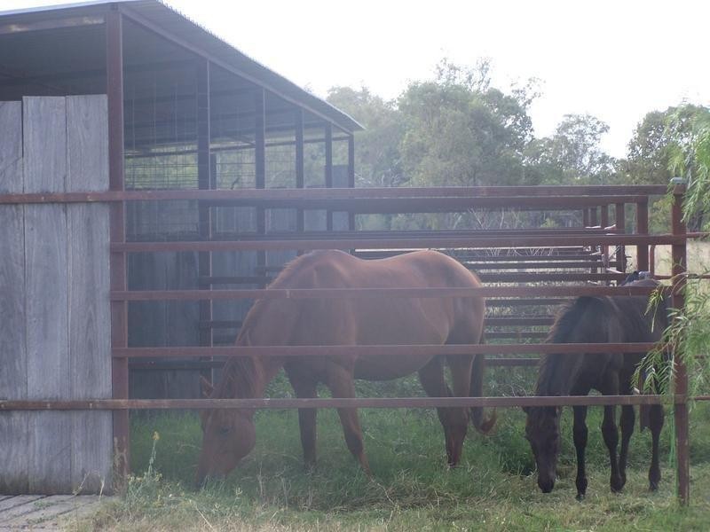 363 Auburn Road, Chinchilla QLD 4413