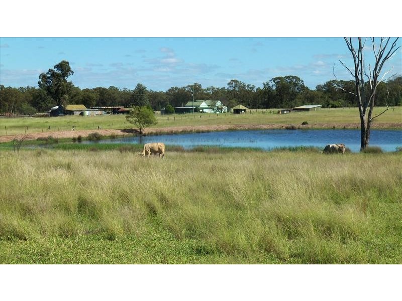 644  North Kogan Road, Kogan QLD 4406