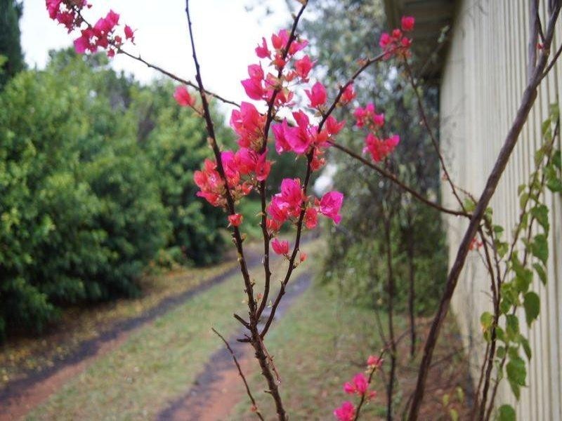 66 North Street, Chinchilla QLD 4413