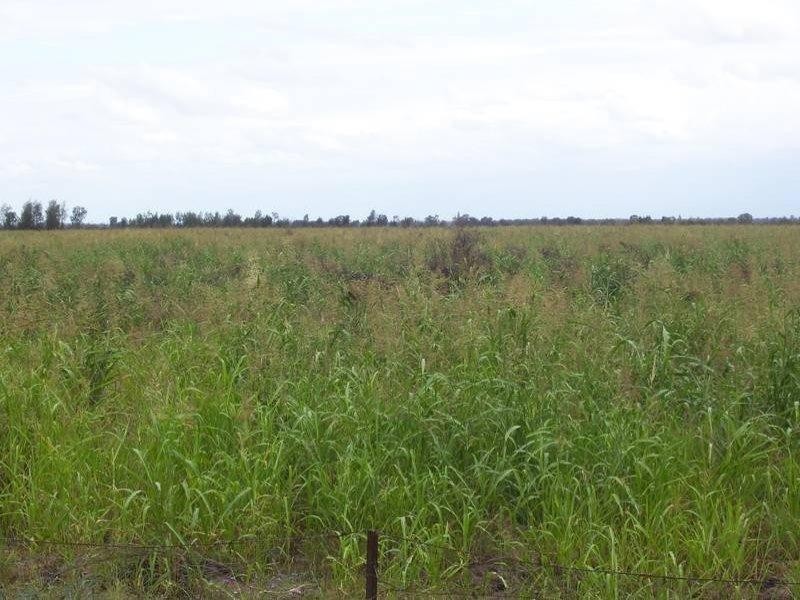 1167 Humbug Road, The Gums QLD 4406