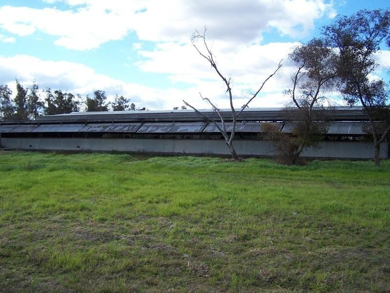 337 Lithgows Road, Chinchilla QLD 4413