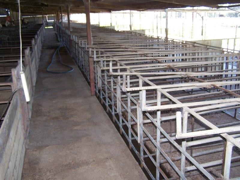 337 Lithgows Road, Chinchilla QLD 4413