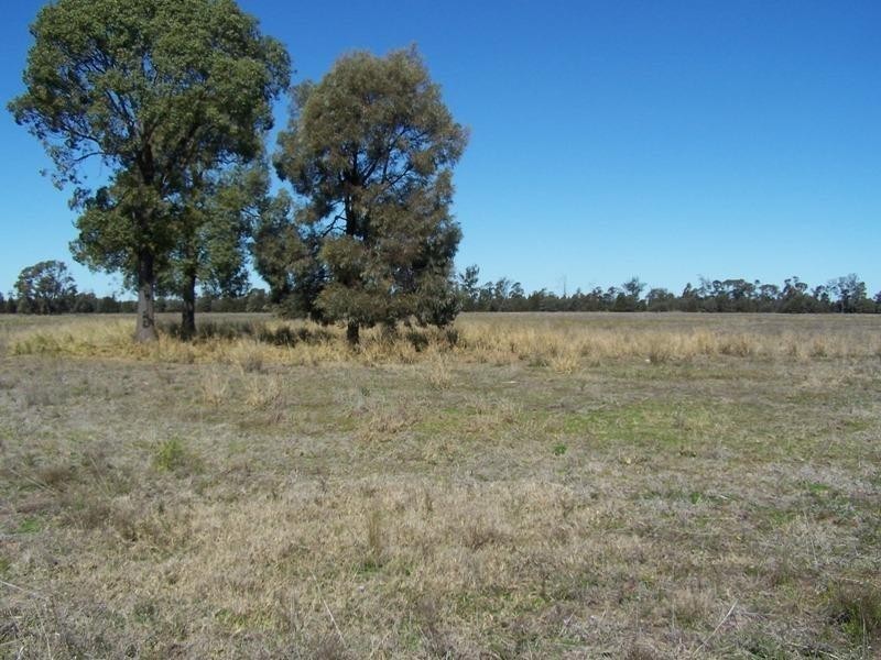 337 Lithgows Road, Chinchilla QLD 4413