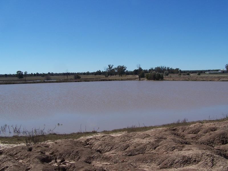 337 Lithgows Road, Chinchilla QLD 4413