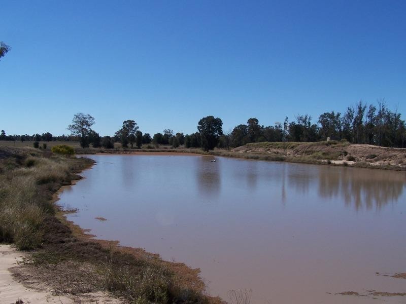 337 Lithgows Road, Chinchilla QLD 4413