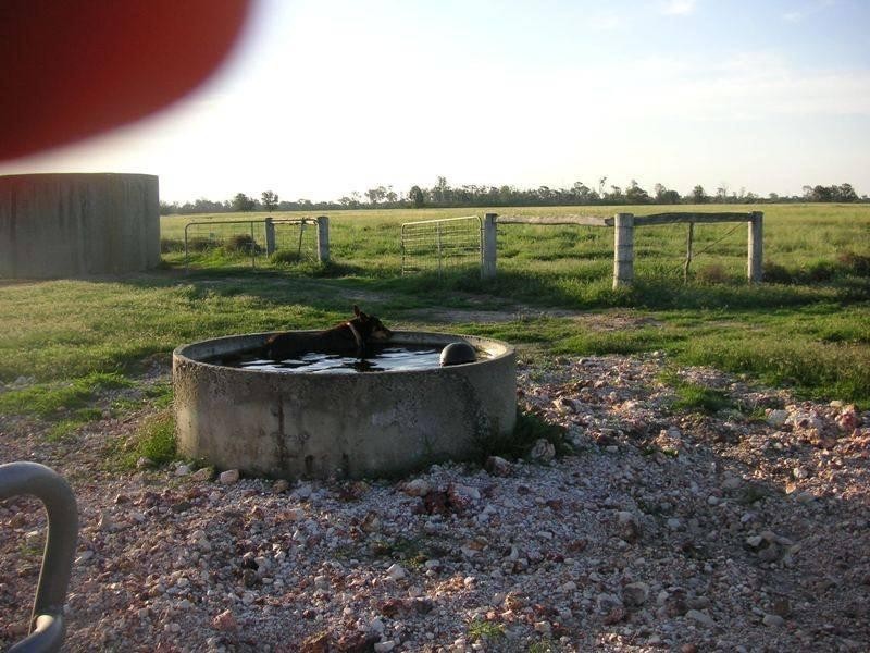 RENNICKS Road, Chinchilla QLD 4413