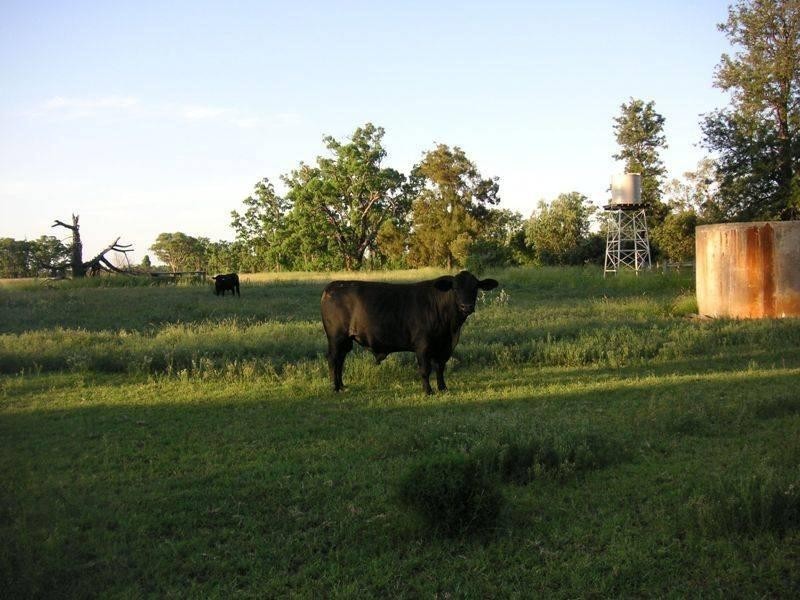 RENNICKS Road, Chinchilla QLD 4413