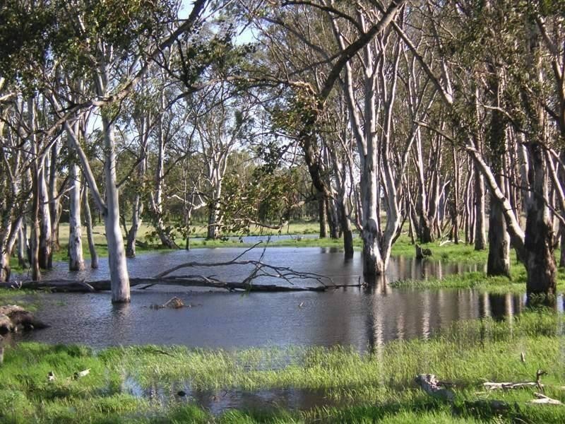 RENNICKS Road, Chinchilla QLD 4413