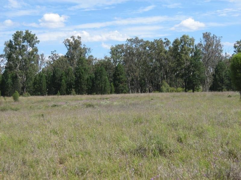 372 Old Cameby Road, Miles QLD 4415