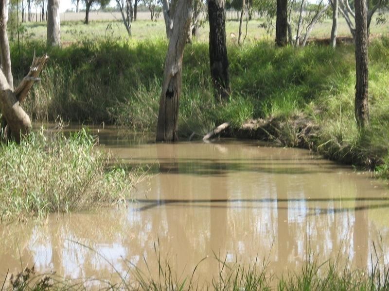 372 Old Cameby Road, Miles QLD 4415