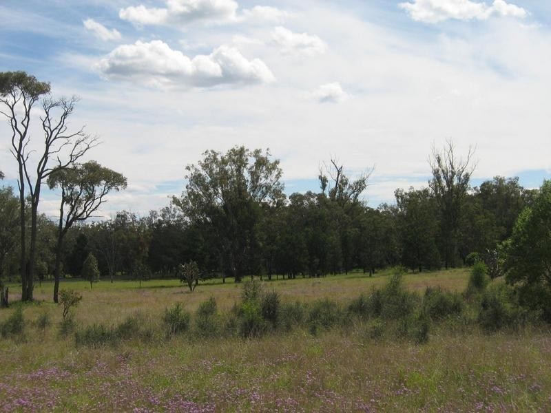 372 Old Cameby Road, Miles QLD 4415