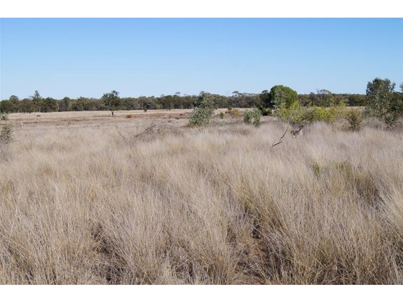 322 Brownlies Road, Miles QLD 4415