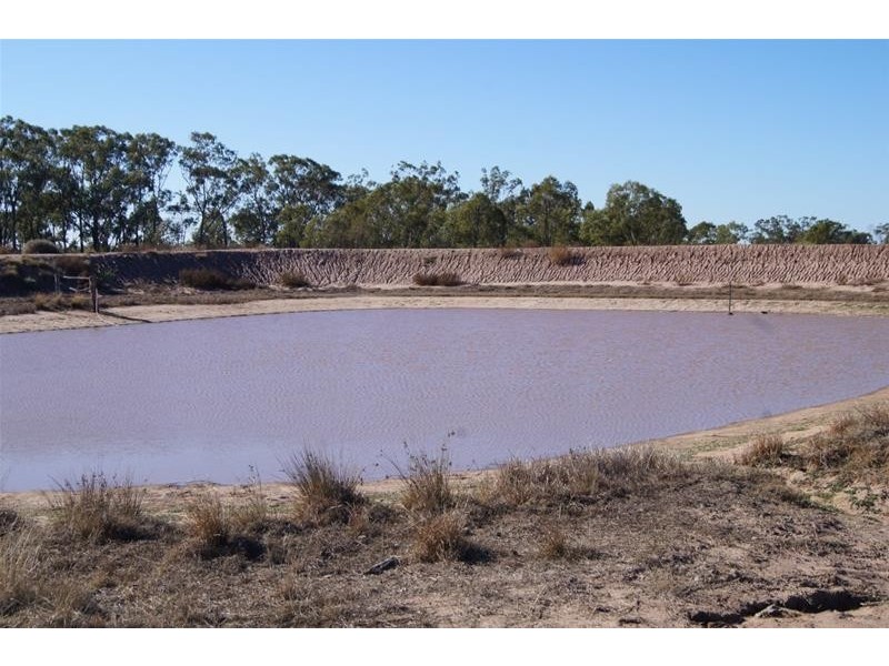 322 Brownlies Road, Miles QLD 4415