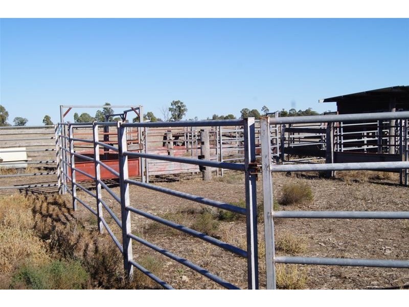 322 Brownlies Road, Miles QLD 4415