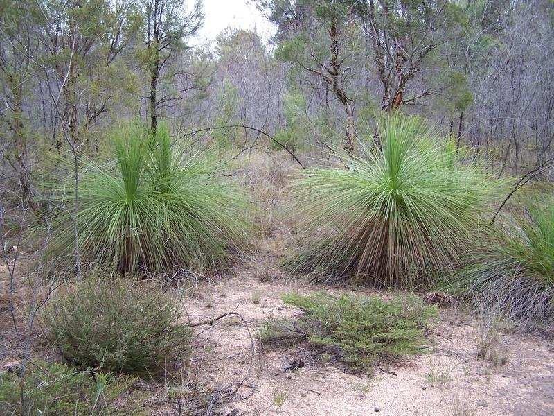 0 TREGATHLYN Road, Tara QLD 4421