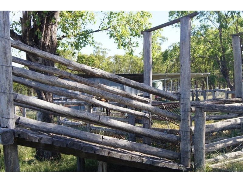 419 Surcingle Road, Chinchilla QLD 4413