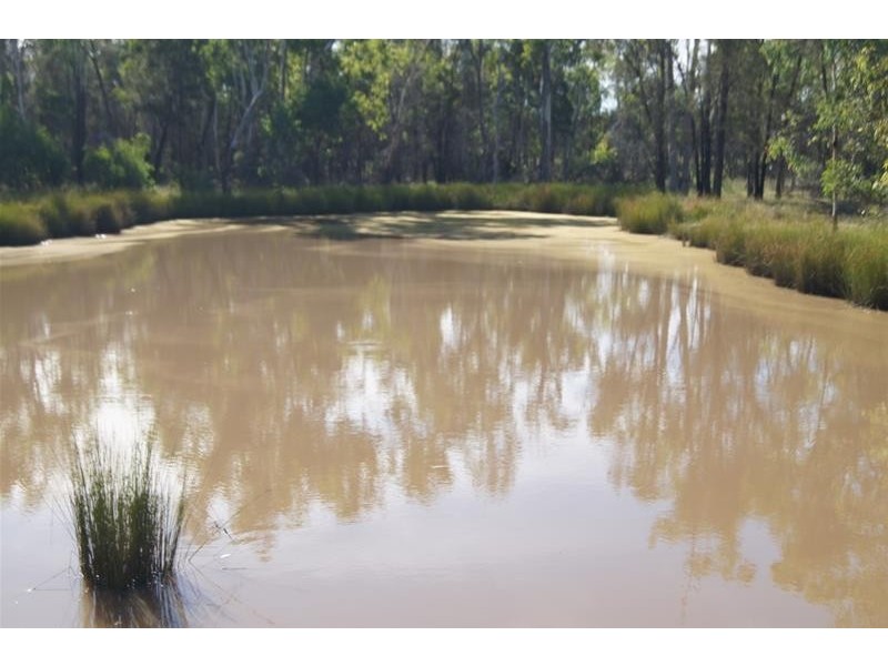 419 Surcingle Road, Chinchilla QLD 4413