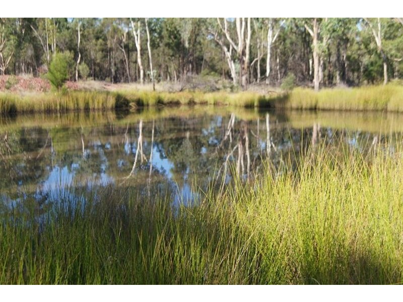 419 Surcingle Road, Chinchilla QLD 4413