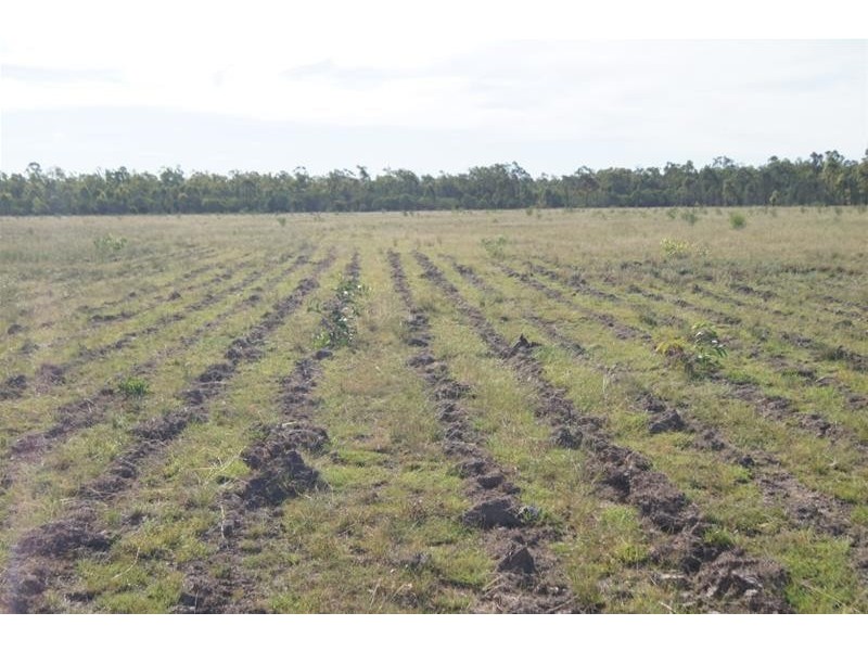 419 Surcingle Road, Chinchilla QLD 4413