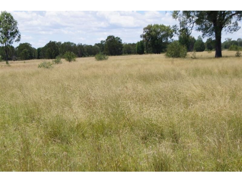 173 Surcingle Road, Chinchilla QLD 4413