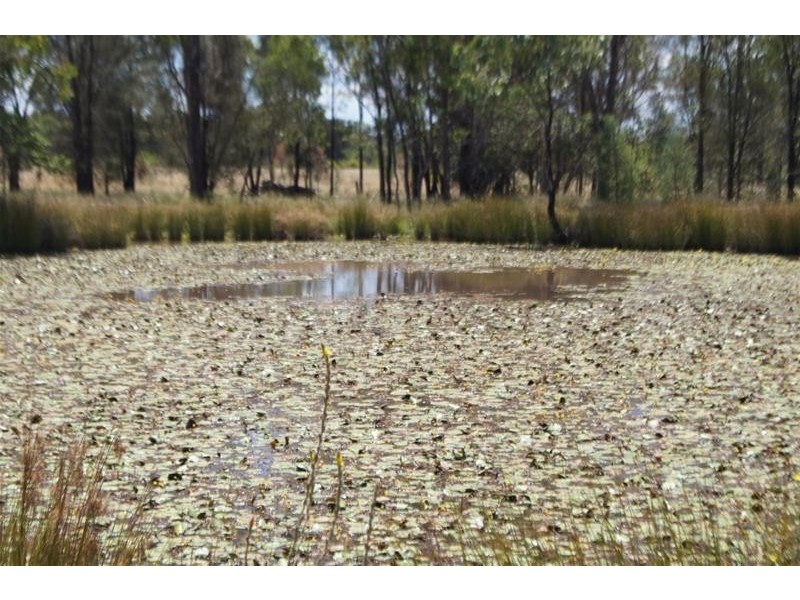 173 Surcingle Road, Chinchilla QLD 4413