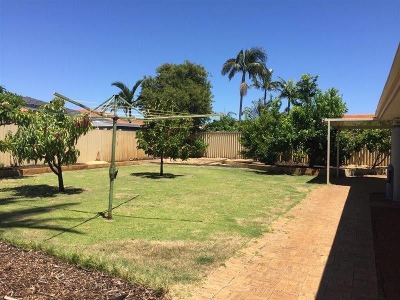 31 Collett Way, Leeming WA 6149