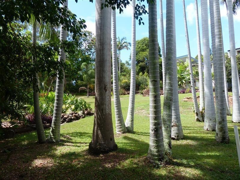 6B Park  Lane, Buderim QLD 4556