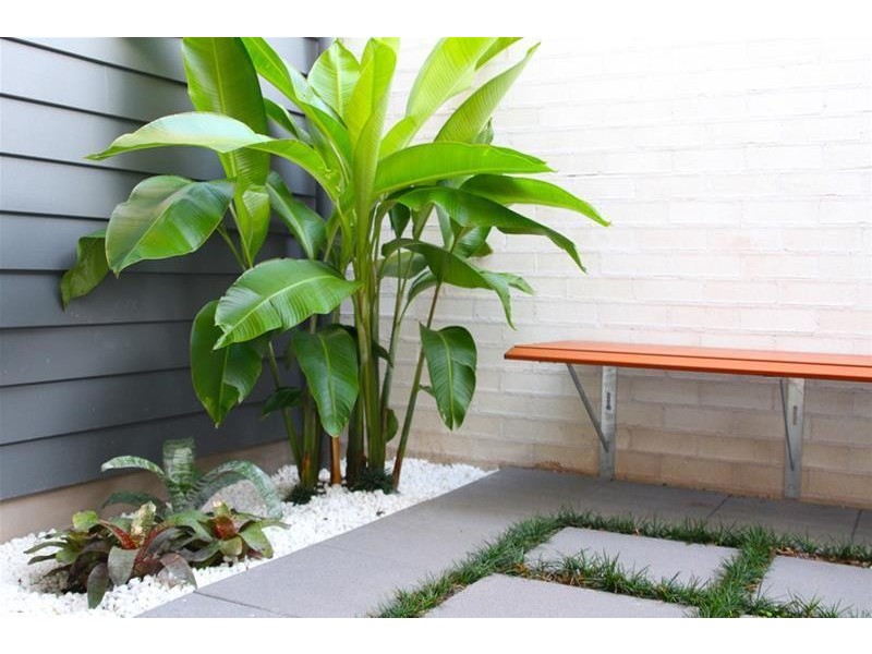 3 Amity Avenue, Maroochydore QLD 4558