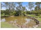 292 Arcoona Road, Yandina Creek QLD 4561