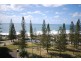 Mooloolaba QLD 4557