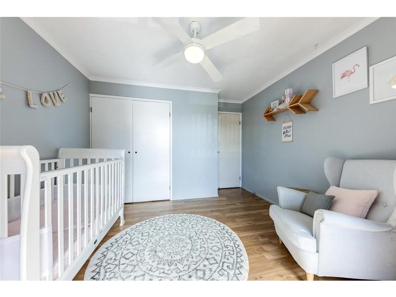 19 Millwell Road, Maroochydore QLD 4558