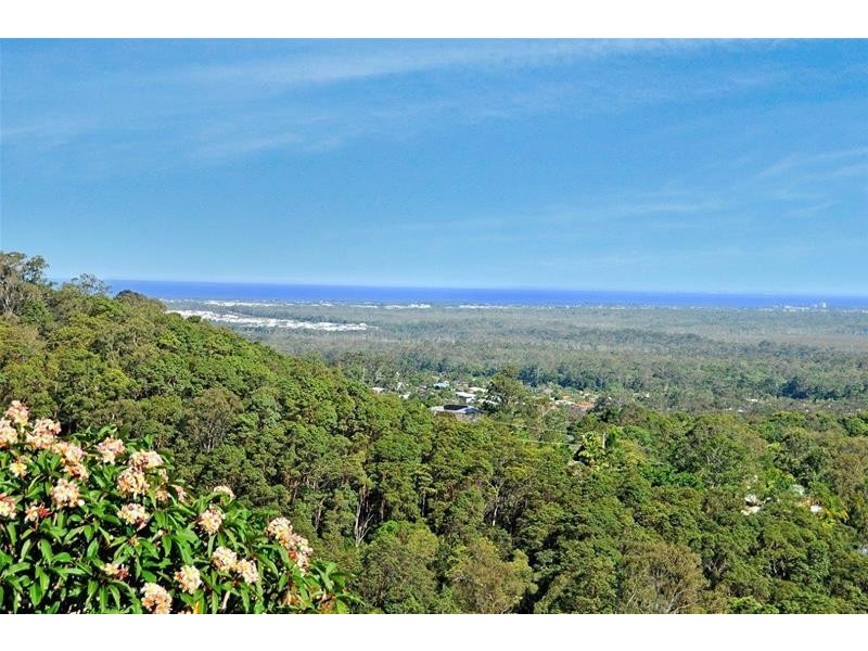 24 Box Street, Buderim QLD 4556