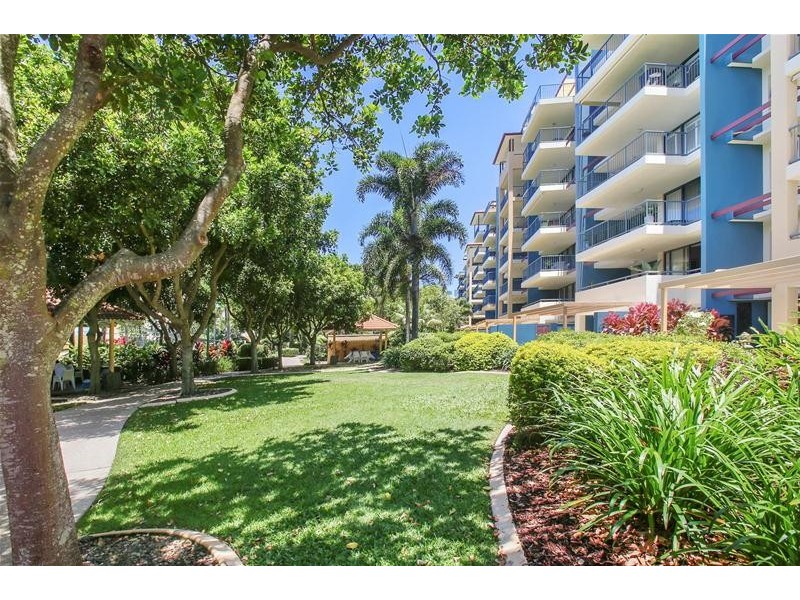 243/9 Wirraway Street, Alexandra Headland QLD 4572