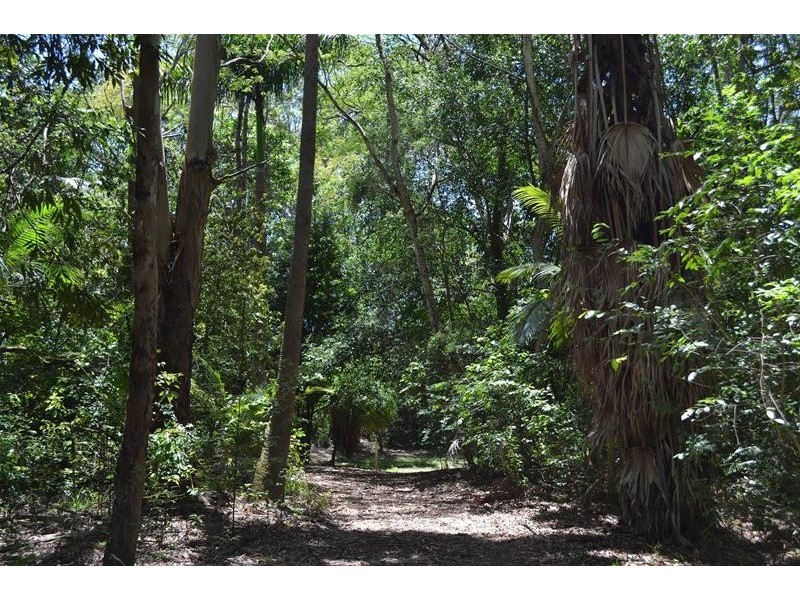 77 Ninderry Road, Bridges QLD 4561